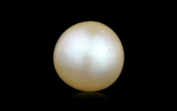 Golden South Sea Pearl - 6.35 Carats