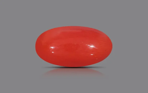 Red Coral - 6.88 Carat (7.56 Ratti)