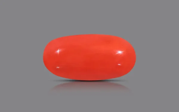Red Coral - 7.87 Carat (8.65 Ratti)