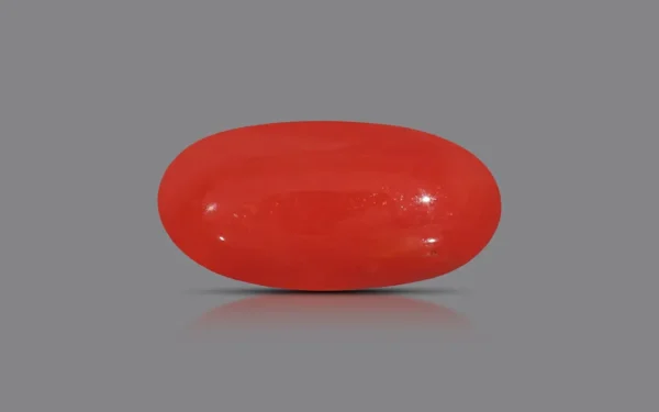 Red Coral - 9.84 Carat (10.82 Ratti)