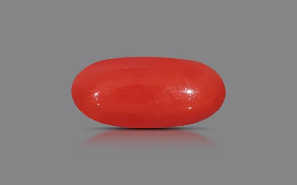 Red Coral - 9.27 Carat (10.19 Ratti)