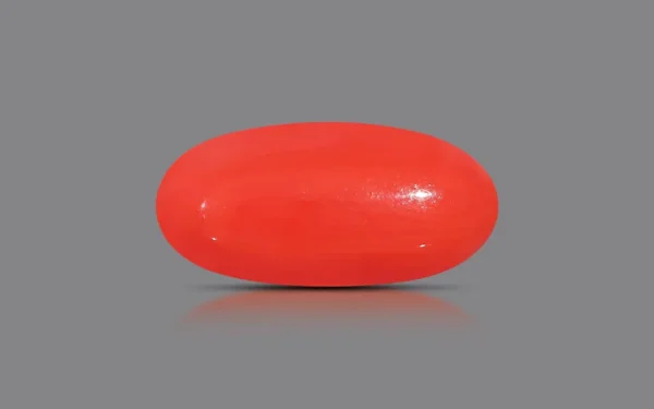 Red Coral - 9.32 Carat (10.25 Ratti)