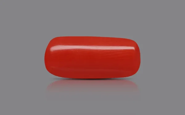 Red Coral - 7.74 Carat (8.51 Ratti)