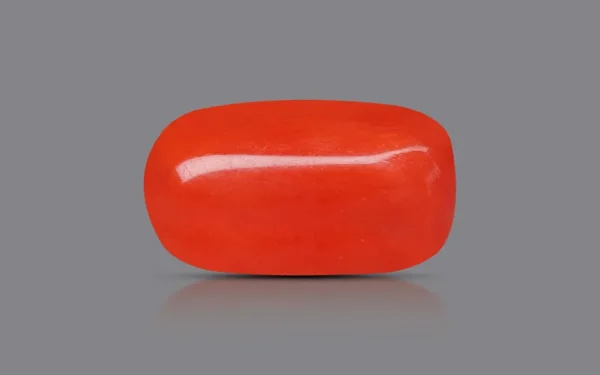 Red Coral - 10.06 Carat (11.06 Ratti)