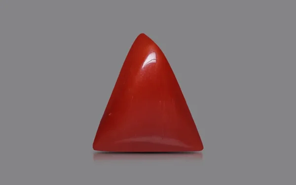 Red Coral - 7.04 Carat (7.74 Ratti)
