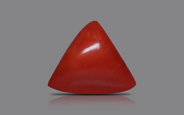 Red Coral - 6.98 Carat (7.67 Ratti)