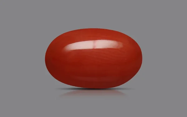 Red Coral - 6.43 Carat (7.07 Ratti)
