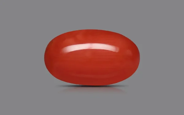 Red Coral - 6.39 Carat (7.02 Ratti)