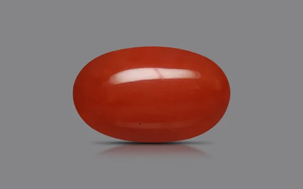 Red Coral - 8.31 Carat (9.14 Ratti)
