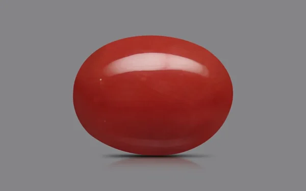Red Coral - 9.45 Carat (10.39 Ratti)