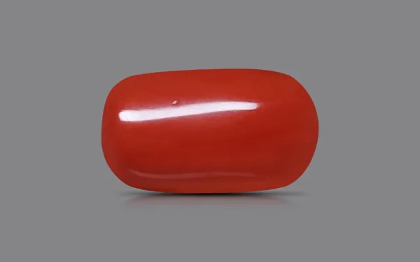 Red Coral - 11.18 Carat (12.29 Ratti)