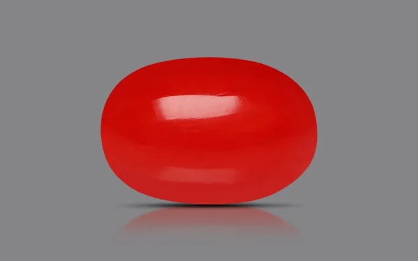 Red Coral - 5.14 Carat (5.65 Ratti)