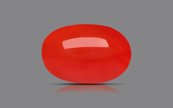 Red Coral - 5.98 Carat (6.57 Ratti)