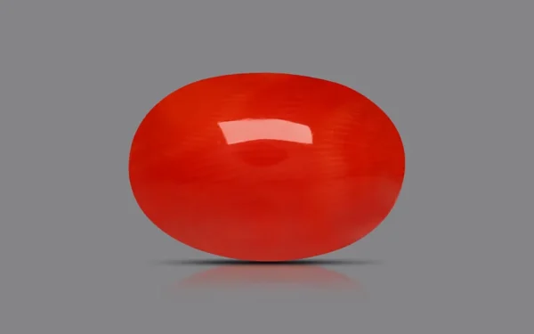 Red Coral - 6.16 Carat (6.77 Ratti)