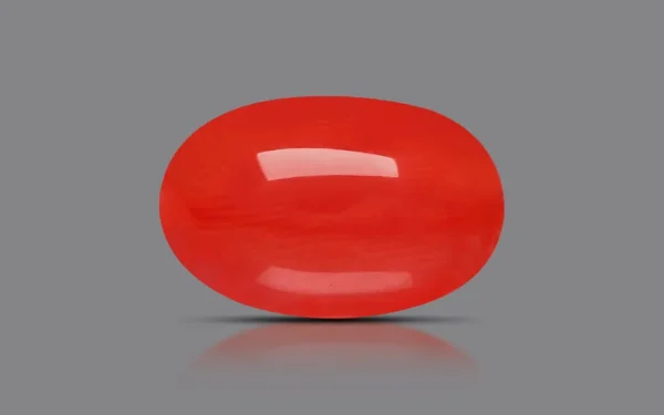 Red Coral - 5.58 Carat (6.13 Ratti)