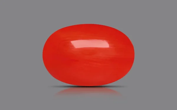 Red Coral - 5.54 Carat (6.09 Ratti)