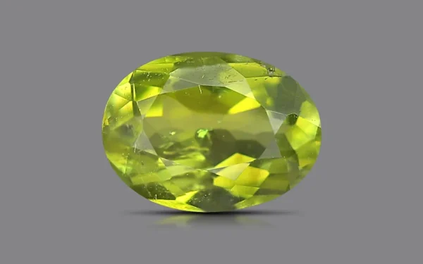 Paraiba Tourmaline - 0.74 Carat (0.82 Ratti)
